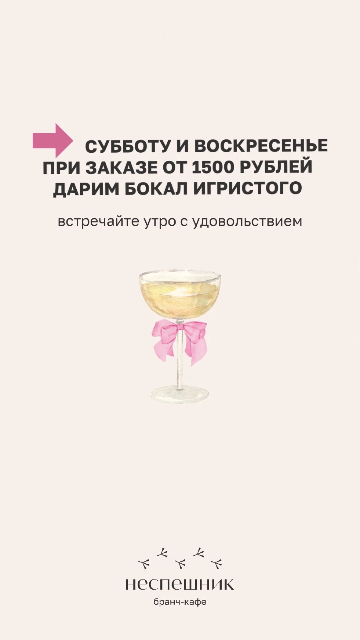 Выходные в Неспешнике